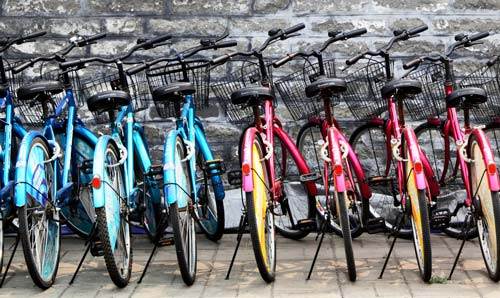 Colourful bikes in stands