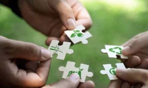 eco-themed jigsaw pieces